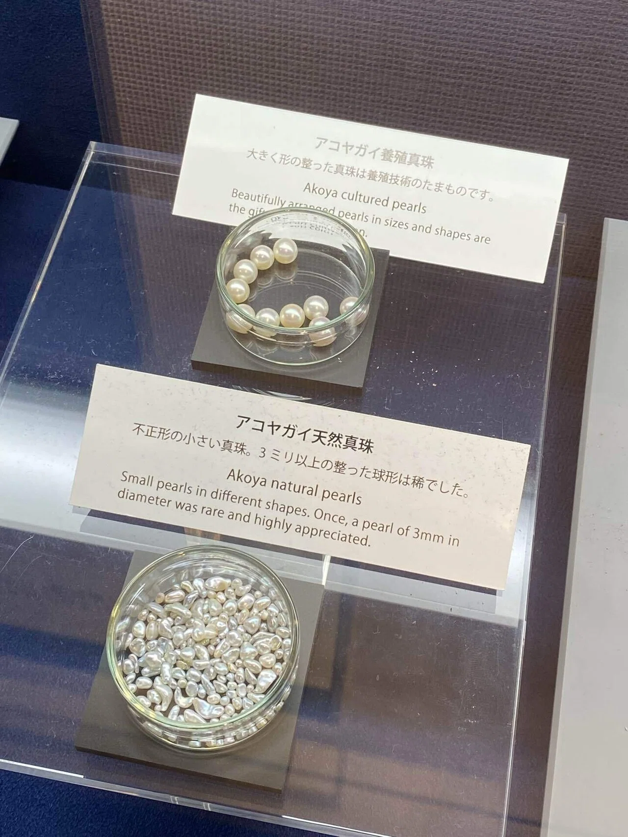 🦪三重の真珠島に行った日。MIKIMOTOの博物館で学び、海女の実演観覧