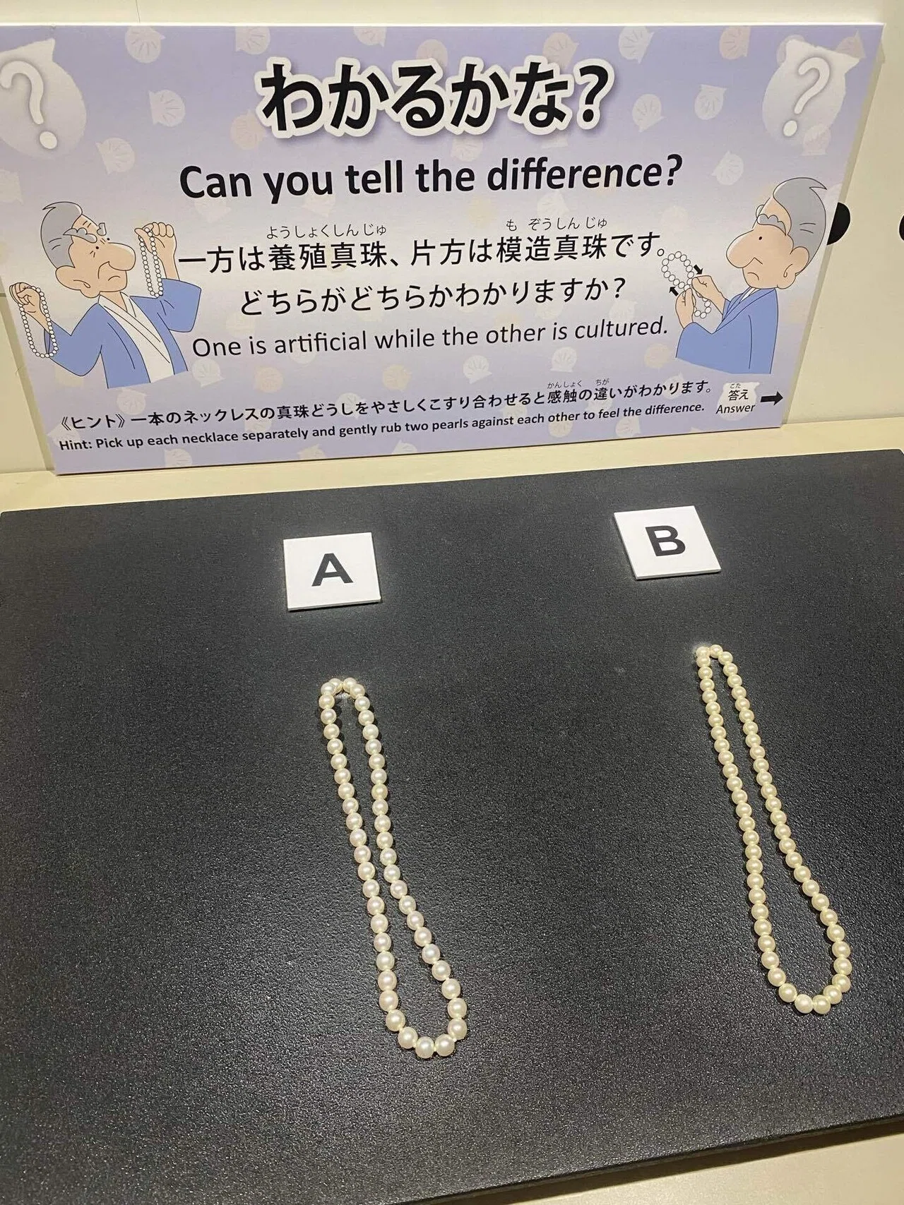 🦪三重の真珠島に行った日。MIKIMOTOの博物館で学び、海女の実演観覧