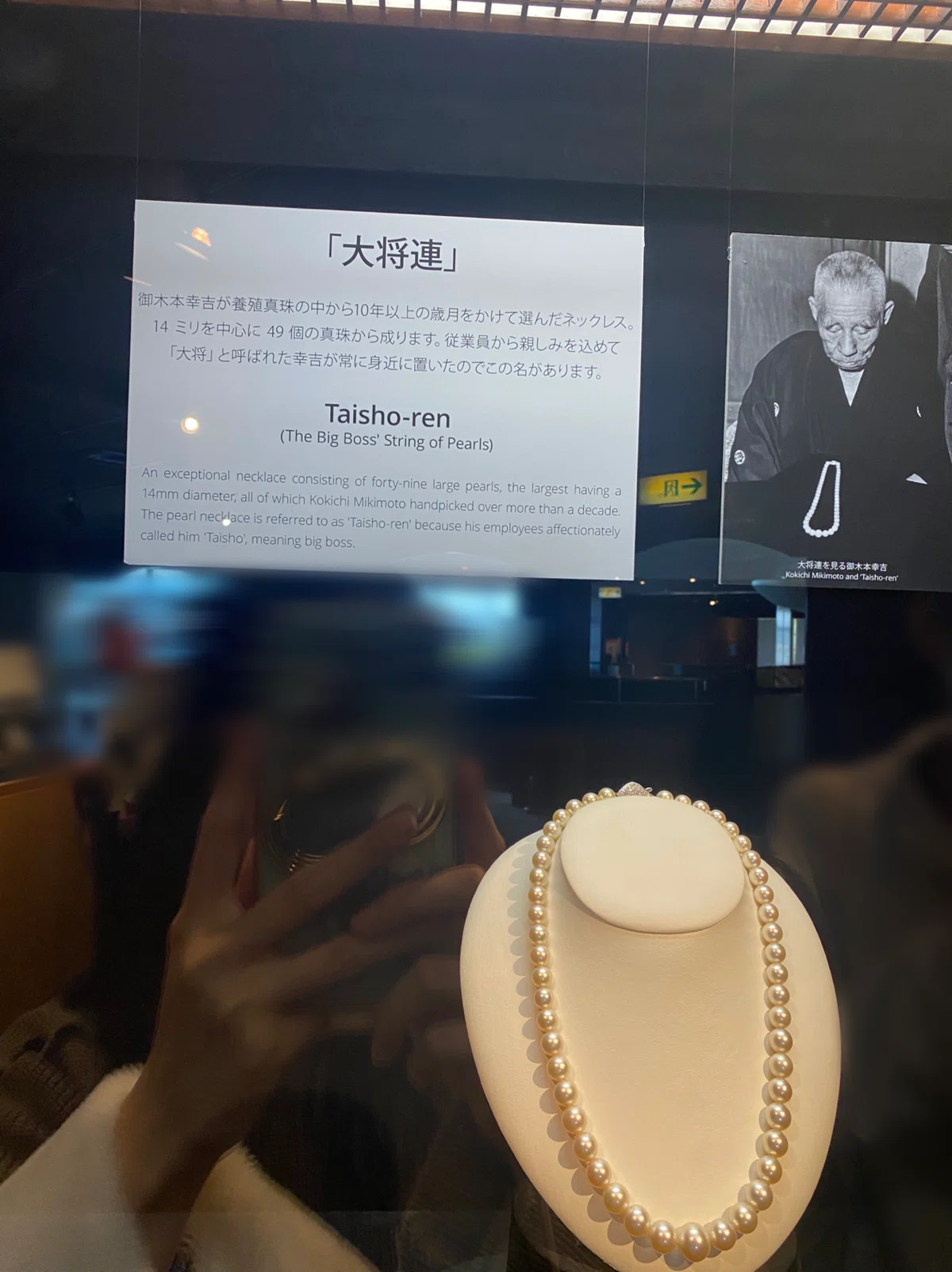 🦪三重の真珠島に行った日。MIKIMOTOの博物館で学び、海女の実演観覧