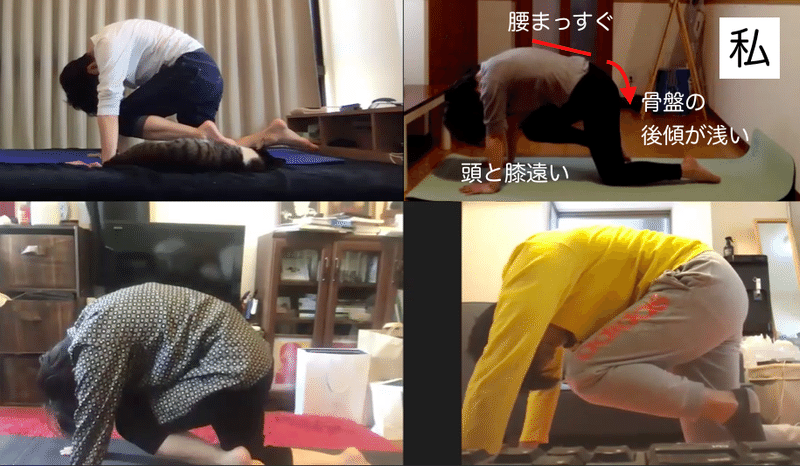 腰を丸めたくてしょうがない Maichint Note