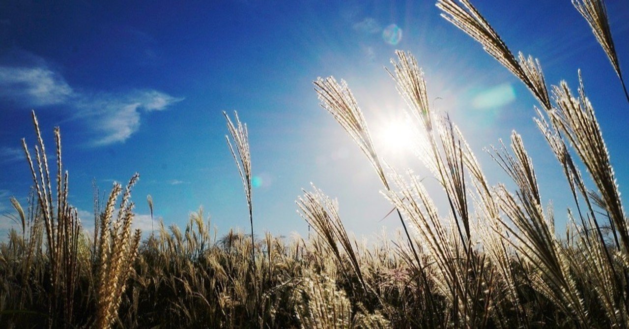 穀物商社の世界売上高ランキングの分析 年版 業界ランキング研究所 Note