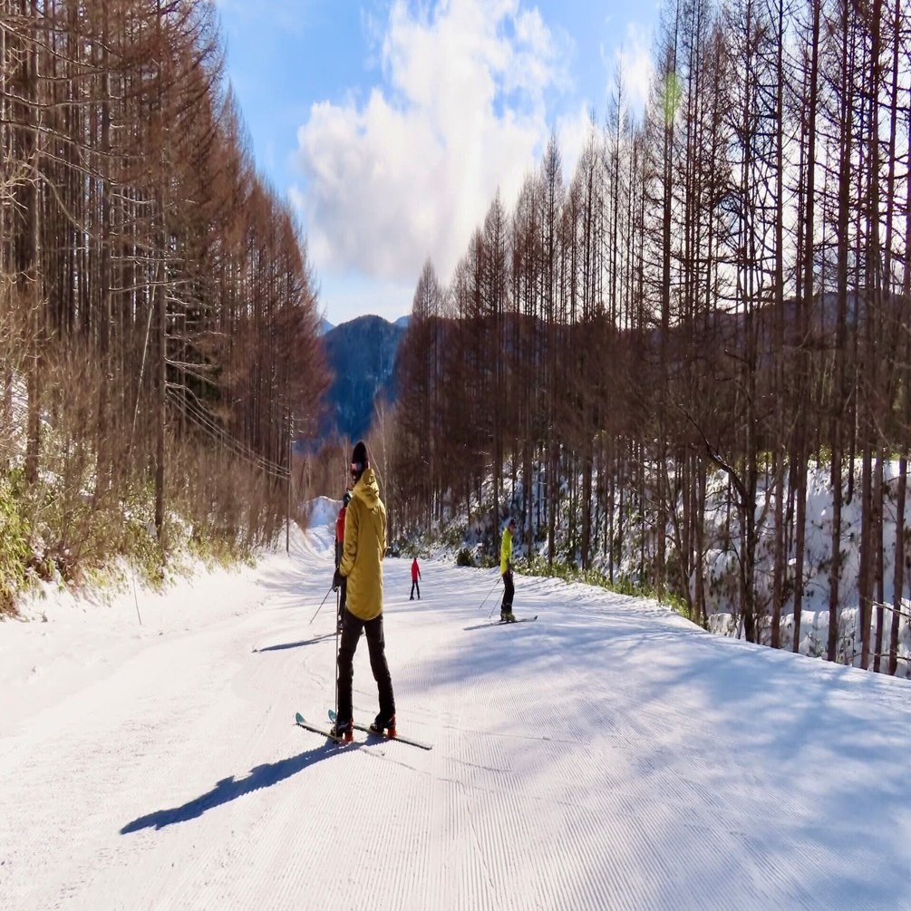 足裏センサーを研ぎ澄ます｜テレマークスキー練習記｜山本拓郎｜Takuro