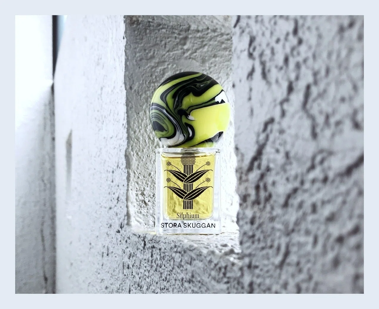 対岸のシルフィウム《SILPHIUM by Stora Skuggan》|𝚝𝚊𝚌𝚒𝚝 𖦸𖦸 対岸のシルフィウム《SILPHIUM by Stora Skuggan》|𝚝𝚊𝚌𝚒𝚝 𖦸𖦸