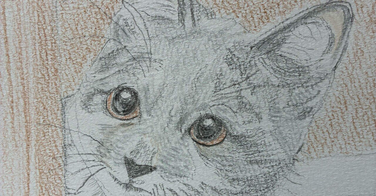 可愛い猫の色鉛筆画です。｜まる