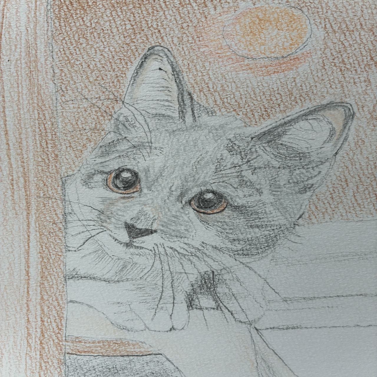 可愛い猫の色鉛筆画です。｜まる