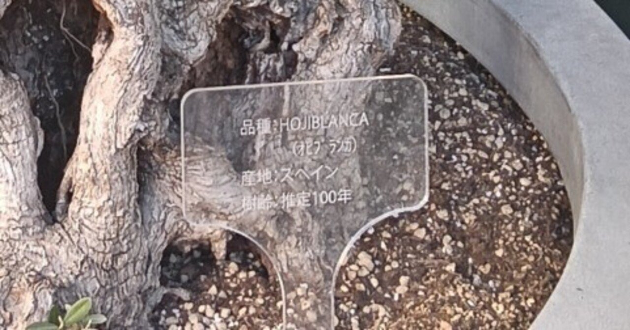 俺の作戦来週｜linking