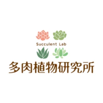 多肉植物研究所