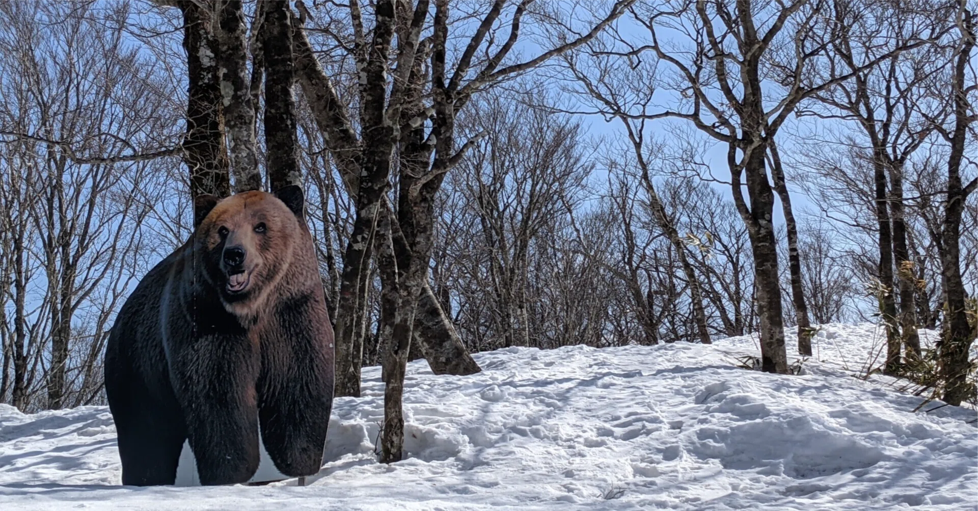 クマにあったらどうするか ――アイヌ民族最後の狩人 姉崎等 /片山竜峯