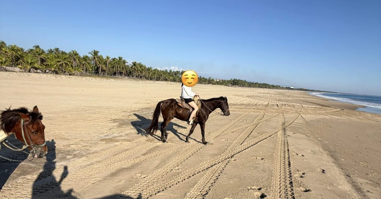 メキシコで馬に乗って浜辺を散歩した話【イスタパ🇲🇽ジワタネホ