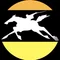 hashibayukiko