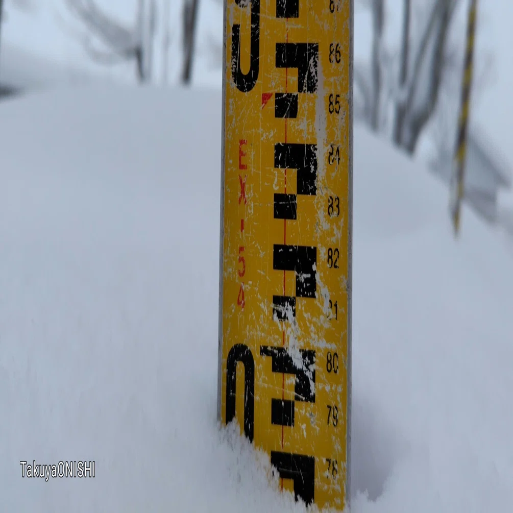 石徹白Life2959日目2026年1月24日（土）【24時間降雪量76cmで日本一 
