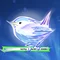 アサキ