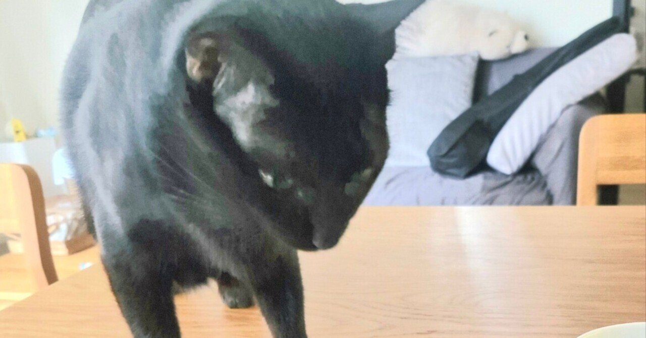 はとむぎ」の人気タグ記事一覧｜note ――つくる、つながる、とどける。