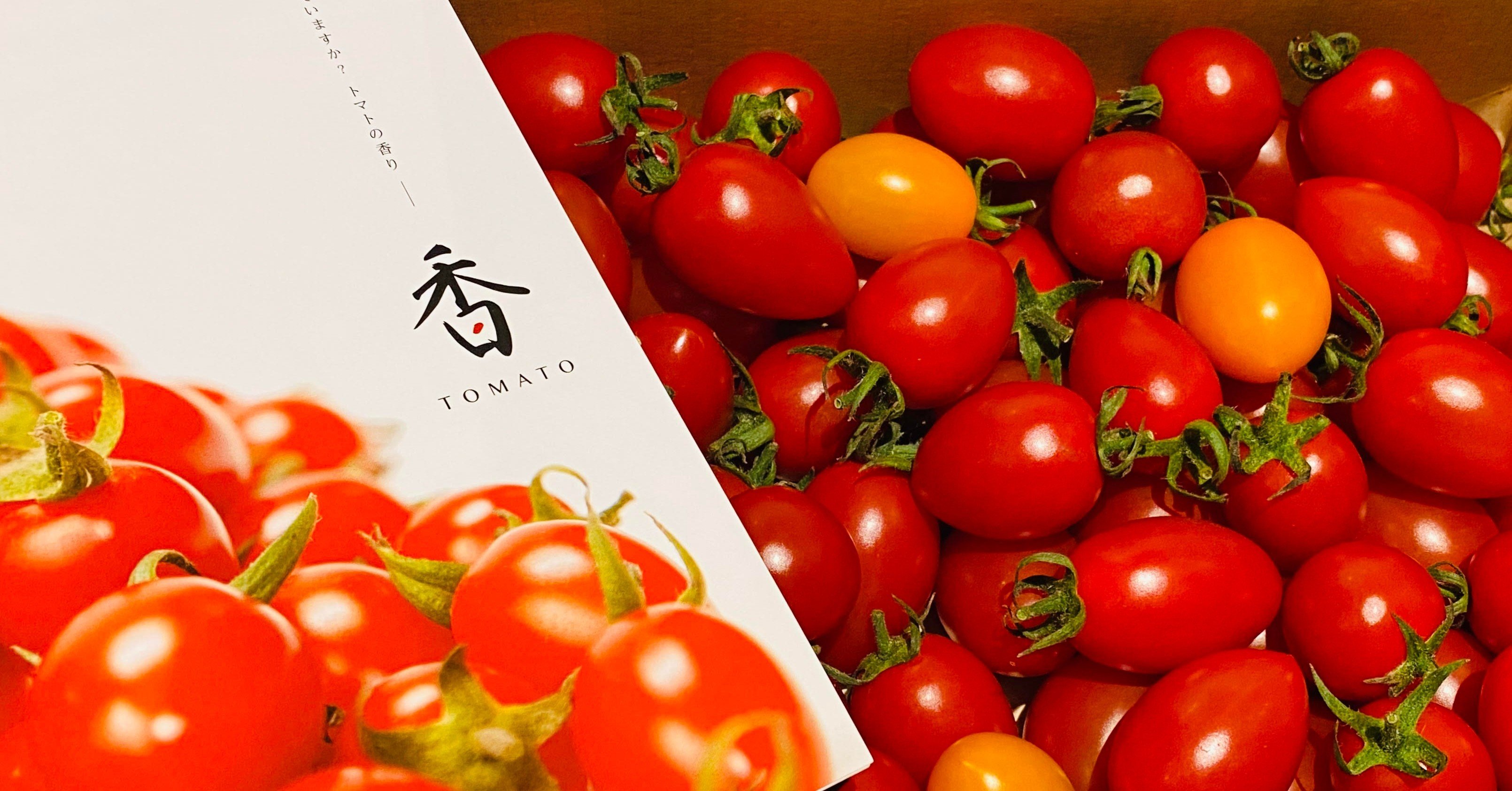 がないから作れない を卒業しよう 野菜編 高田大雅 ととのえる人 Note