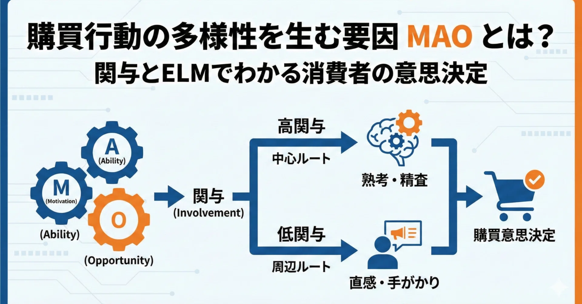 購買行動の多様性を生む要因MAOとは？関与とELMでわかる消費者の意思 