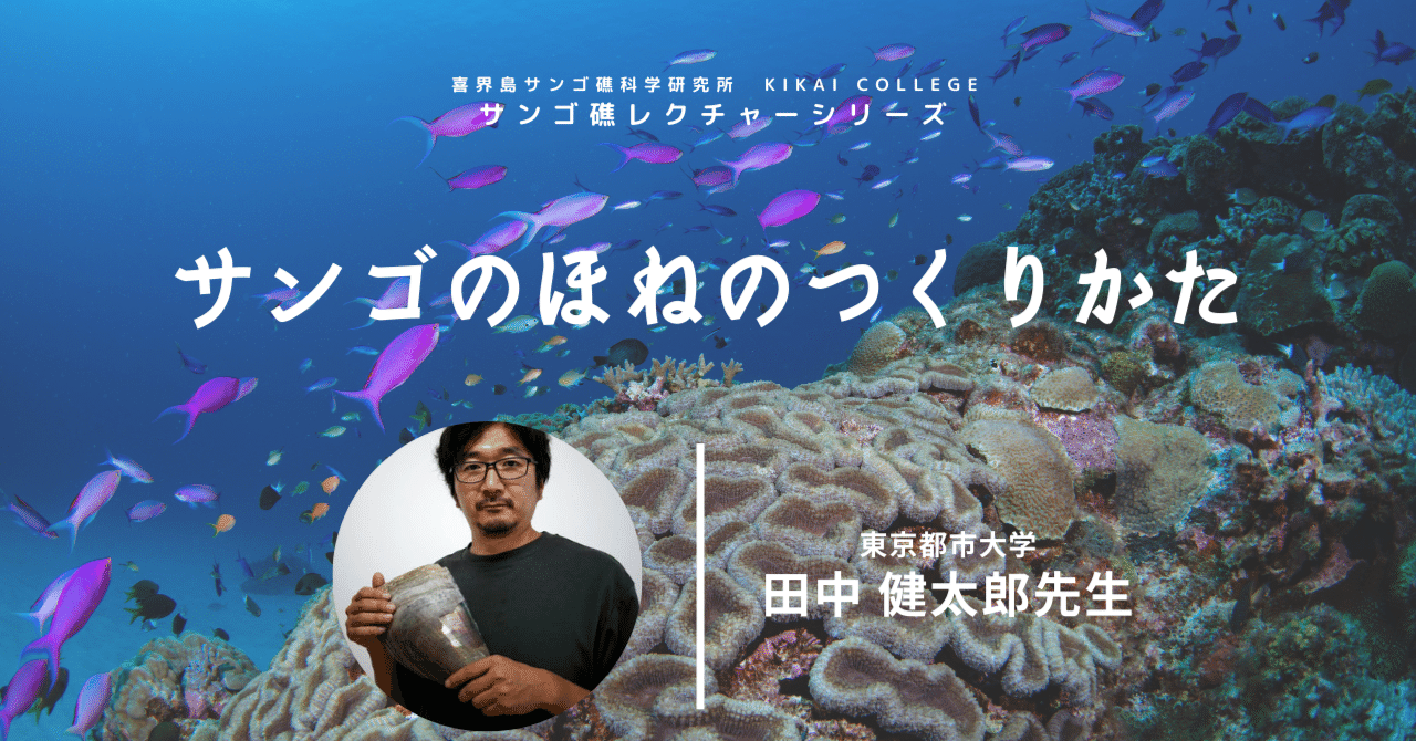 サンゴのほねのつくりかた」（田中 健太郎先生）動画更新のお知らせ