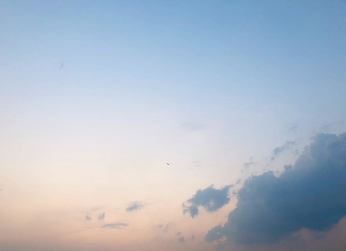 空を見る トミくん Note 空を見る トミくん Note