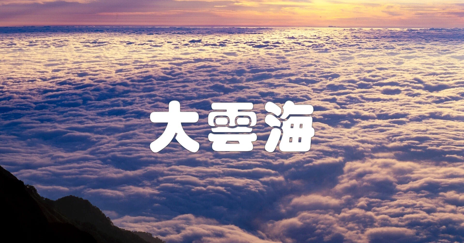 大雲海(写真)|taka 大雲海(写真)|taka