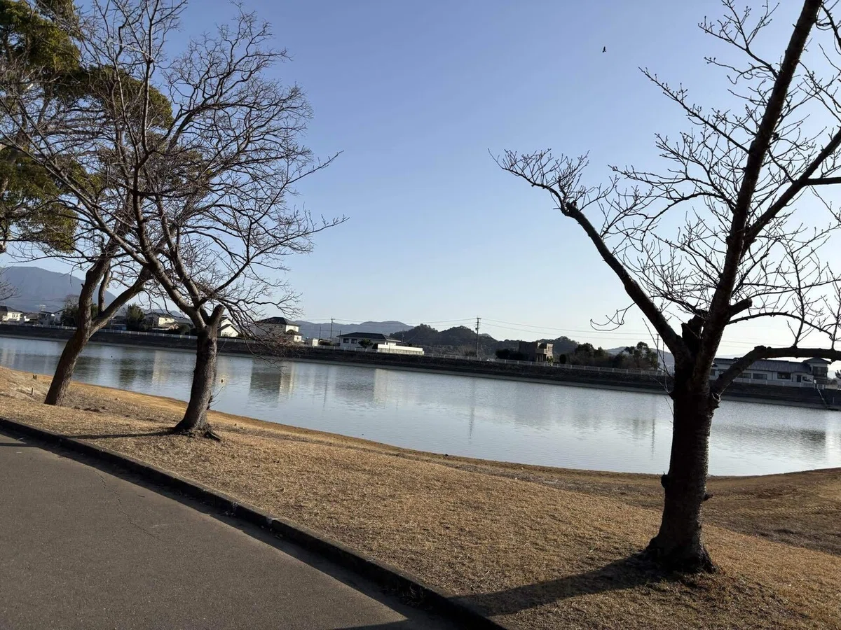 「追い風」の透明さと、「向かい風」の手触り｜西嶋 利彦