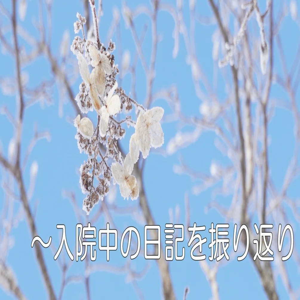 老人病院付添婦の仰天日記 【公式通販】