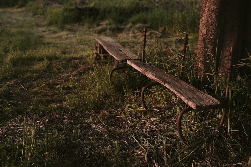 夕日に照らされる牧草地脇のベンチ