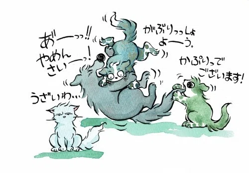 突然怒るねこ 走り出したら止まらない犬 春みみず Note