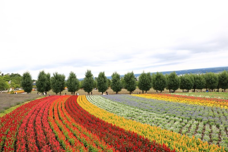 Vol 9橋本枇菜乃 北海道 イチ推しお取り寄せグルメ Women S Innovation ウーマンズイノベーション Note Vol 9橋本枇菜乃 北海道 イチ推しお取り寄せグルメ Women S Innovation ウーマンズイノベーション Note