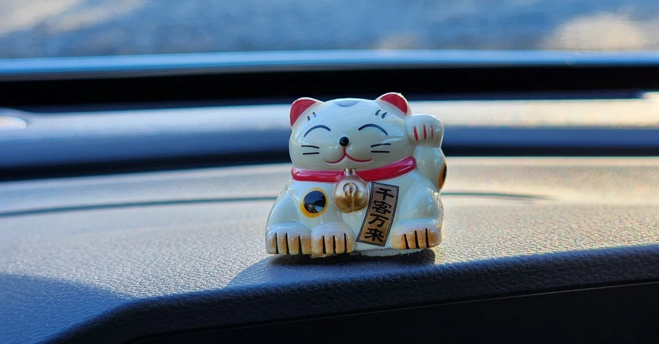 たま猫とAiの対話記録2026年1月23日「心配に感情(恐怖・不安・怒り)が結びつかない」|たま猫