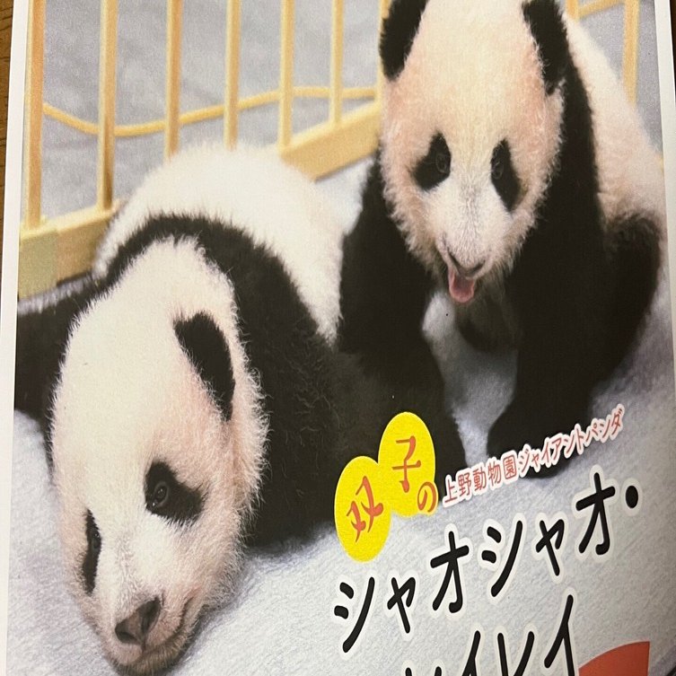 シャオシャオ・レイレイ🐼🐼さようなら｜ミント