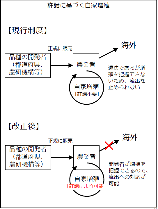 図4