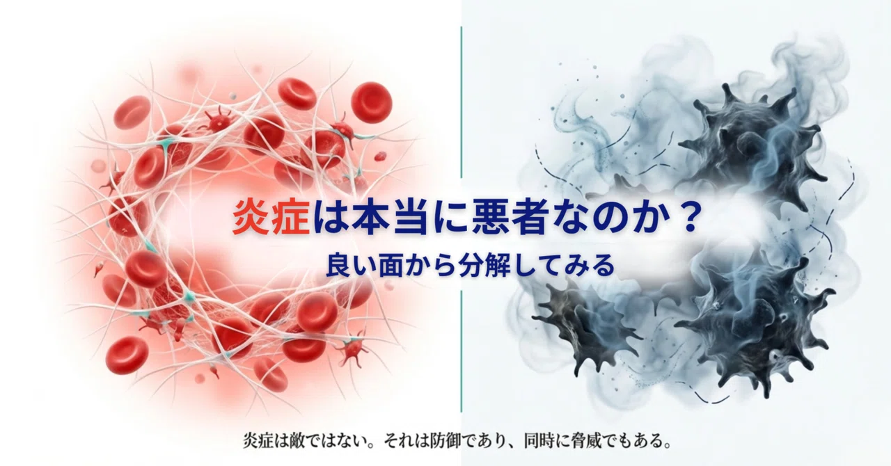 炎症は本当に悪者なのか? ― 良い面から分解してみる|医療を視点と科学で再構成