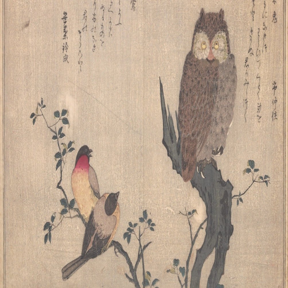 蔦屋重三郎×喜多川歌麿】絵本百千鳥（2）木兎×鷽・かし鳥×鴟鶉・鵜×鷺