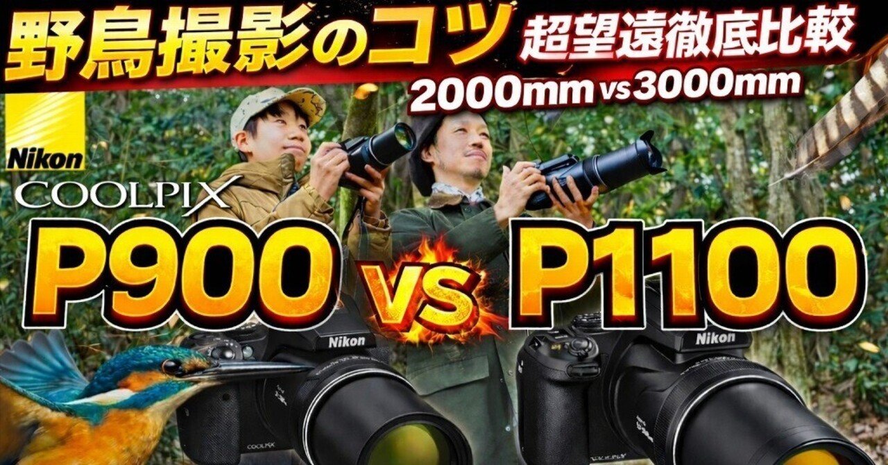 Nikon COOLPIX】 で野鳥を綺麗に撮るコツ 【P900vsP1100で徹底比較
