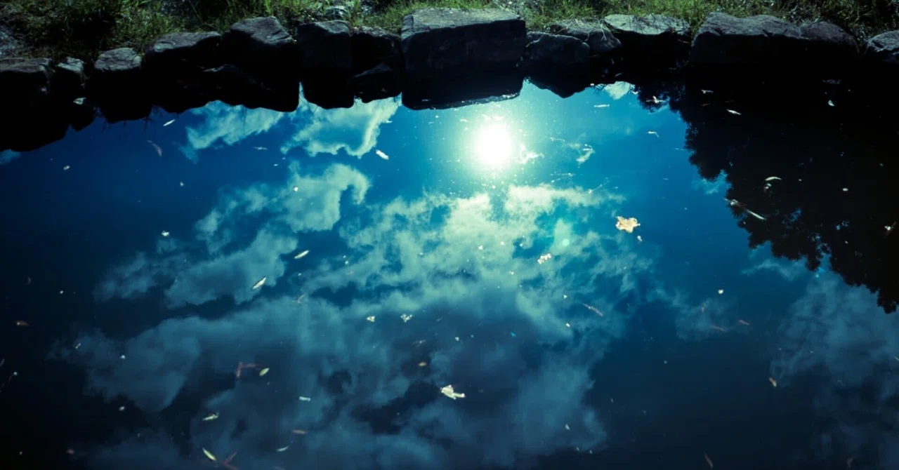 [Serialized Novel] Side Story: 'Spin, Water Lily, Open the Door' — A ...