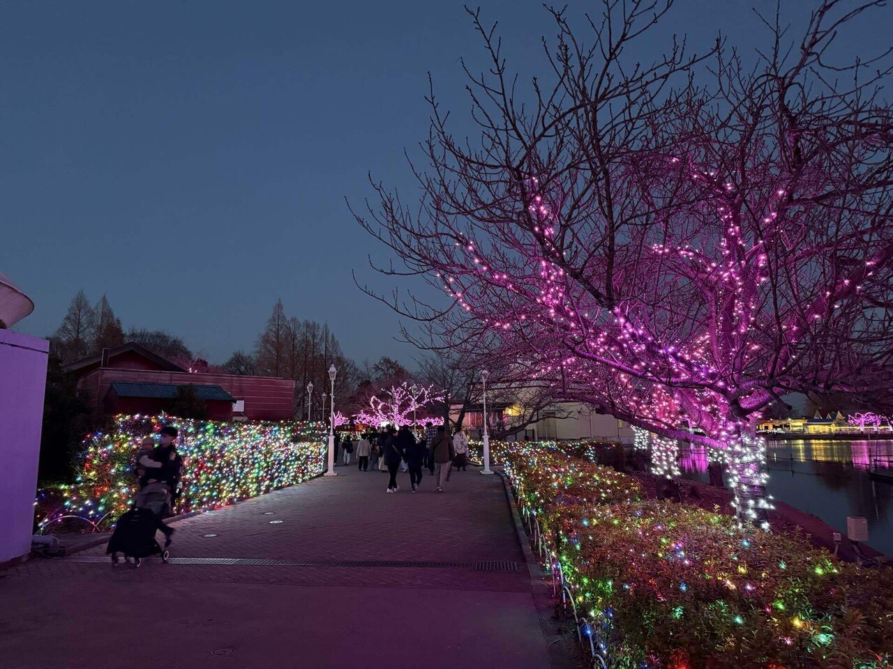 2026-01-24 / 東武動物公園｜kl