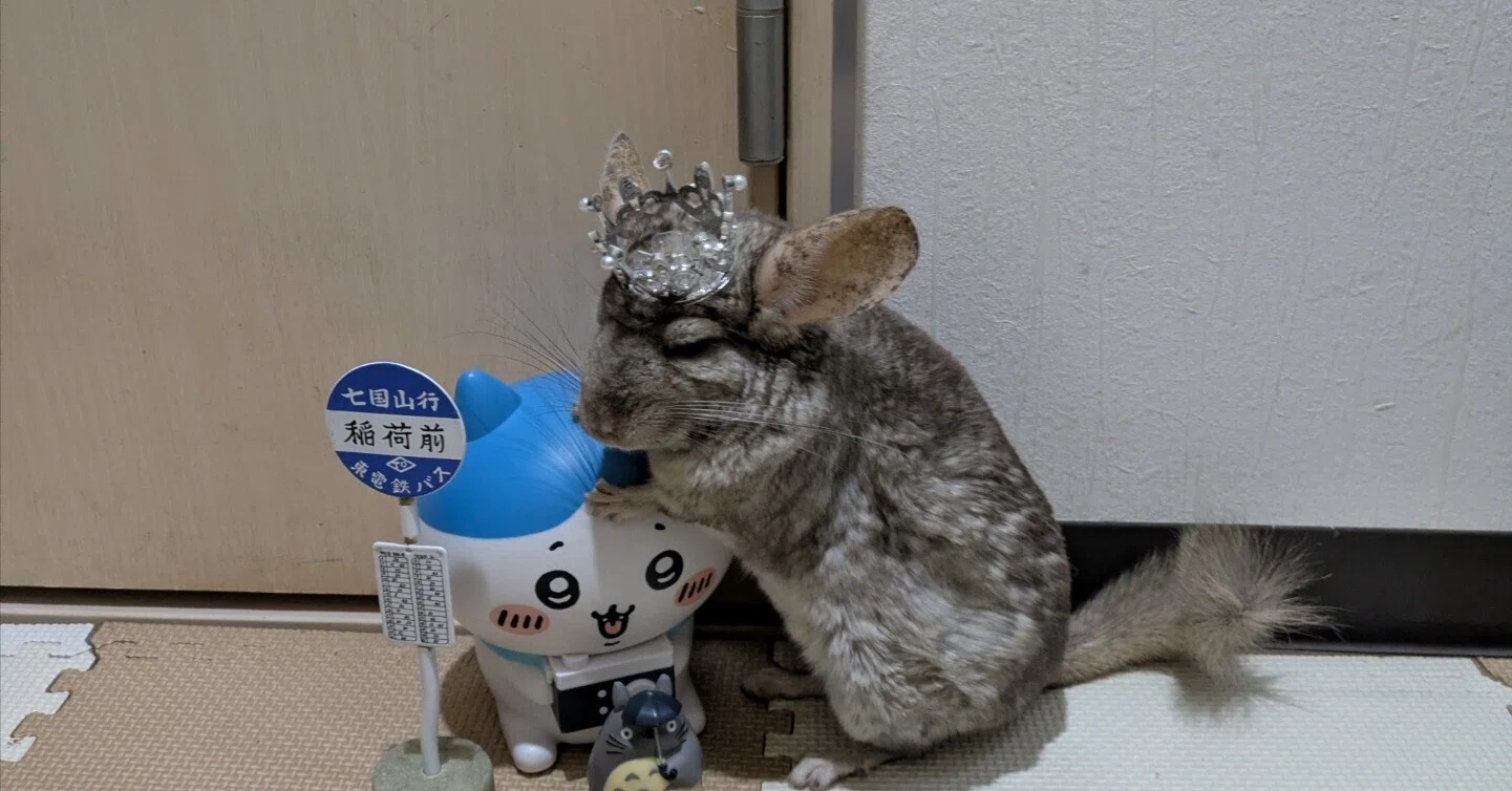 池袋】可愛い天国！「ハリネズミカフェ」に行ってきた｜おろし大根