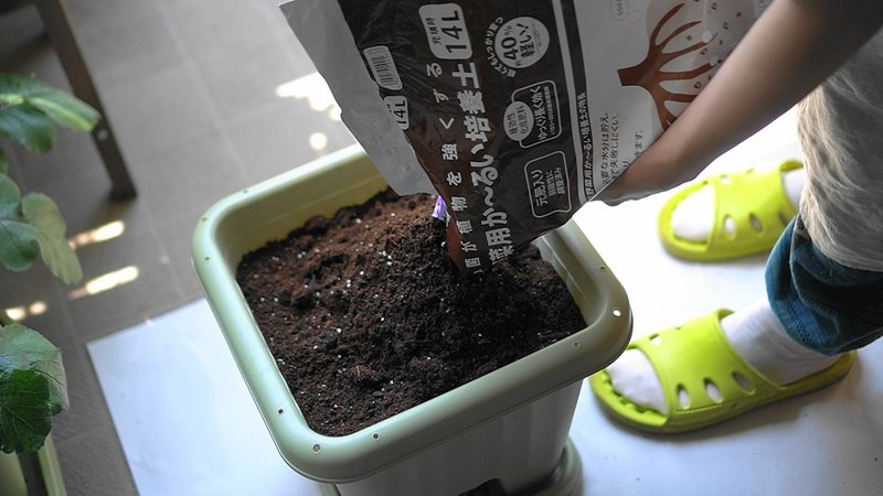 トマトをプランターに植え付けたよ ゆかこ Note