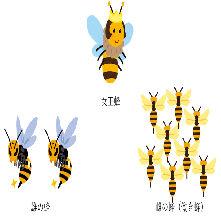 蜂の社会 雌蜂が子供を産めない理由 アコニチン Note