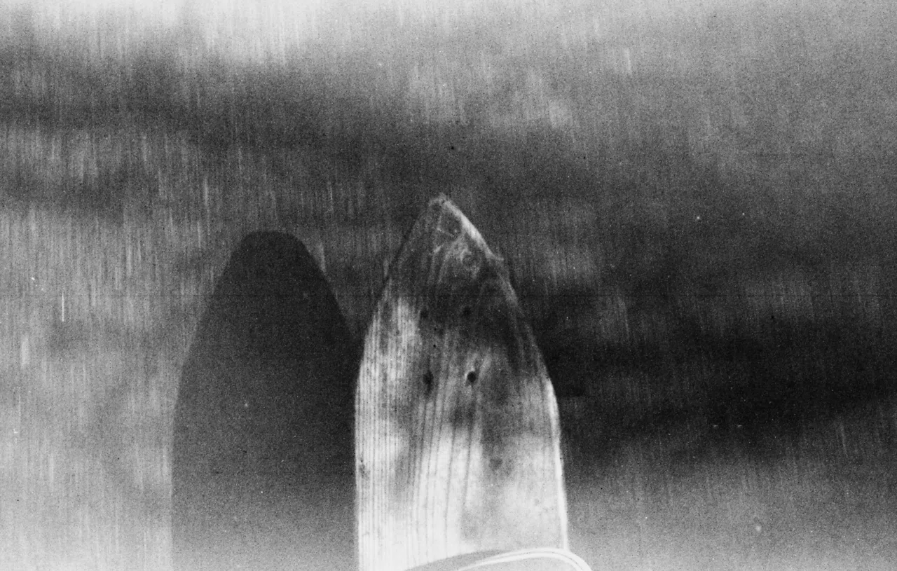 1992年！超絶期限切れフィルムで写真は撮れるのか⁉︎｜バーバラ