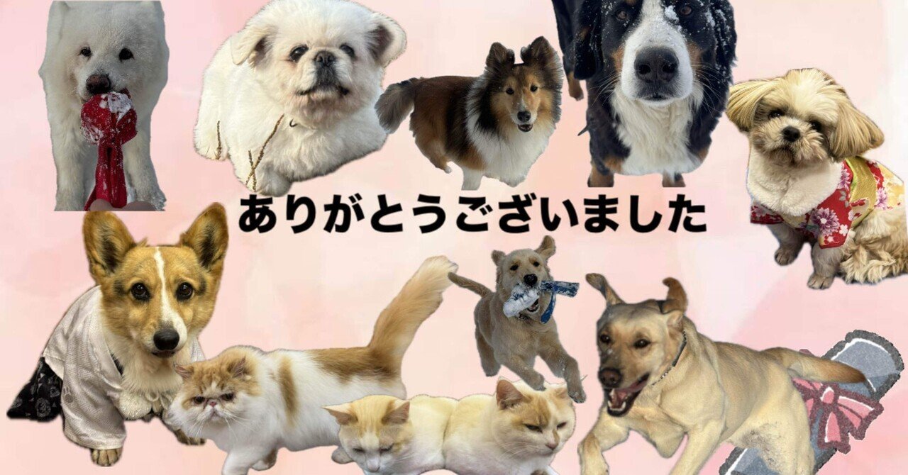 佐藤、思い出を語るの巻！｜那須どうぶつ王国公式note