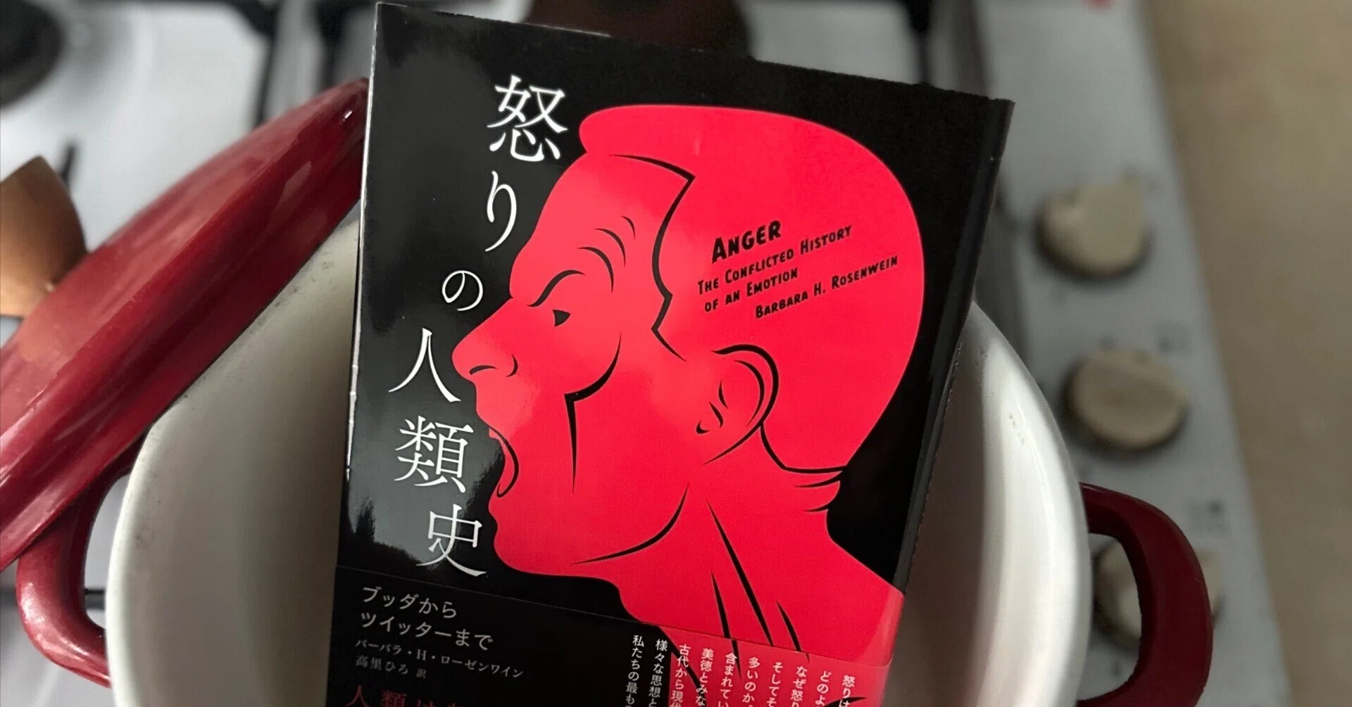 社会における怒りの在り方：『怒りの人類史』｜八木田一世