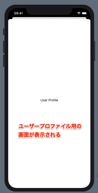 スクリーンショット 2020-05-03 21.38.19