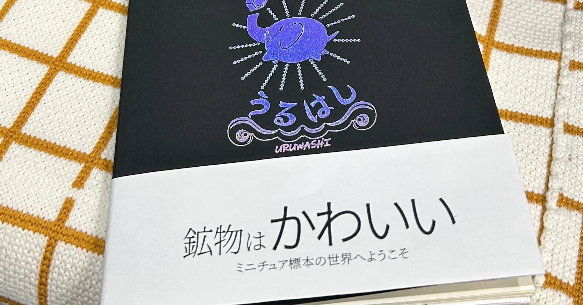 同人誌 ・ZINEの「帯」がすごい👍｜noring