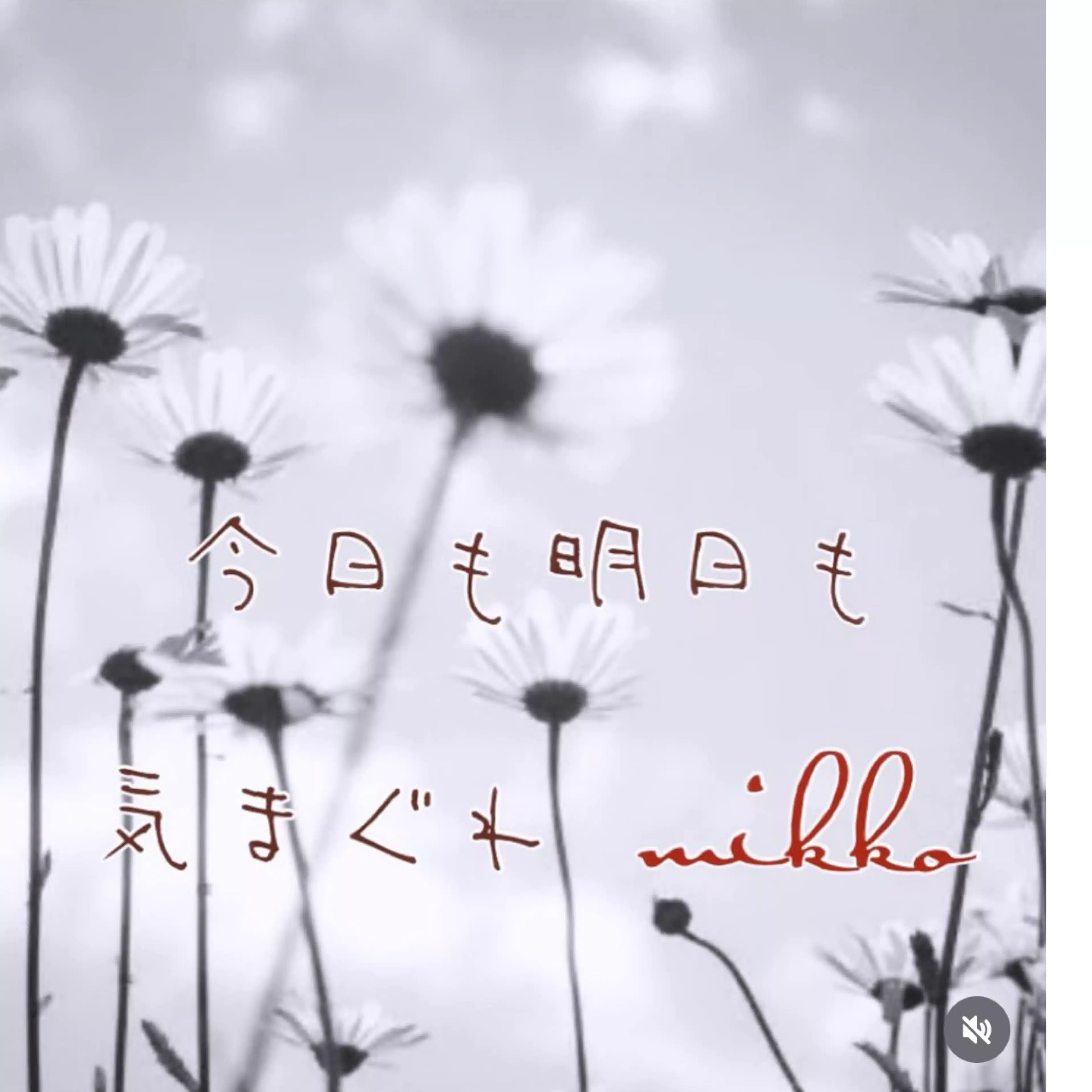 気まぐれmikko