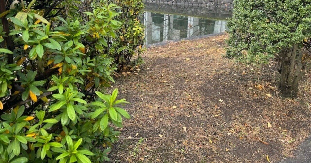 たまに、のスズメ No.35｜happea-nyanko