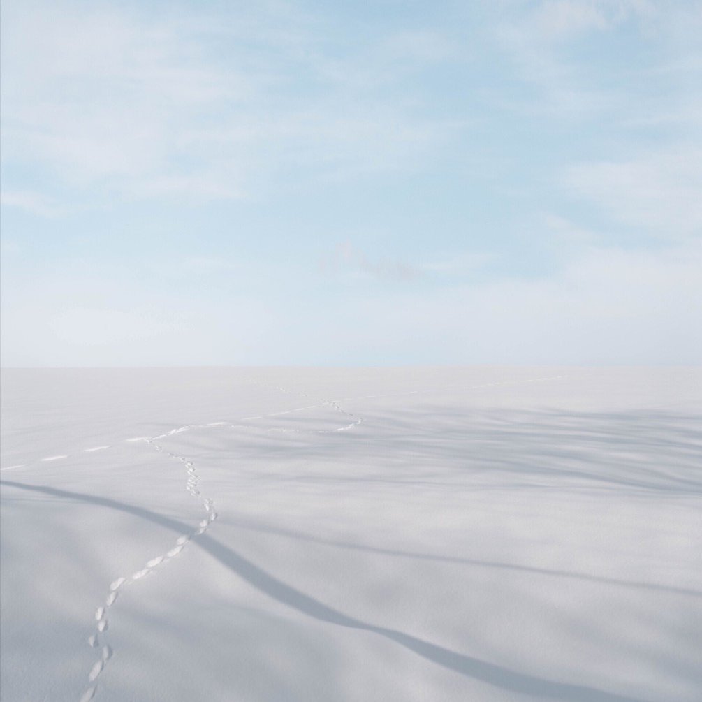 真冬の札幌、小樽で雪景色を楽しむ Vol.1 / SONY a7Ⅳ｜como