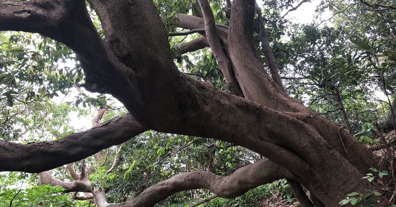 架空のキャラクターを演じる 22 大夢 Note