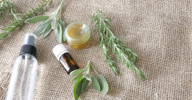 unimo SDGs Challenge School サステナシップ 2024.6【Kids】