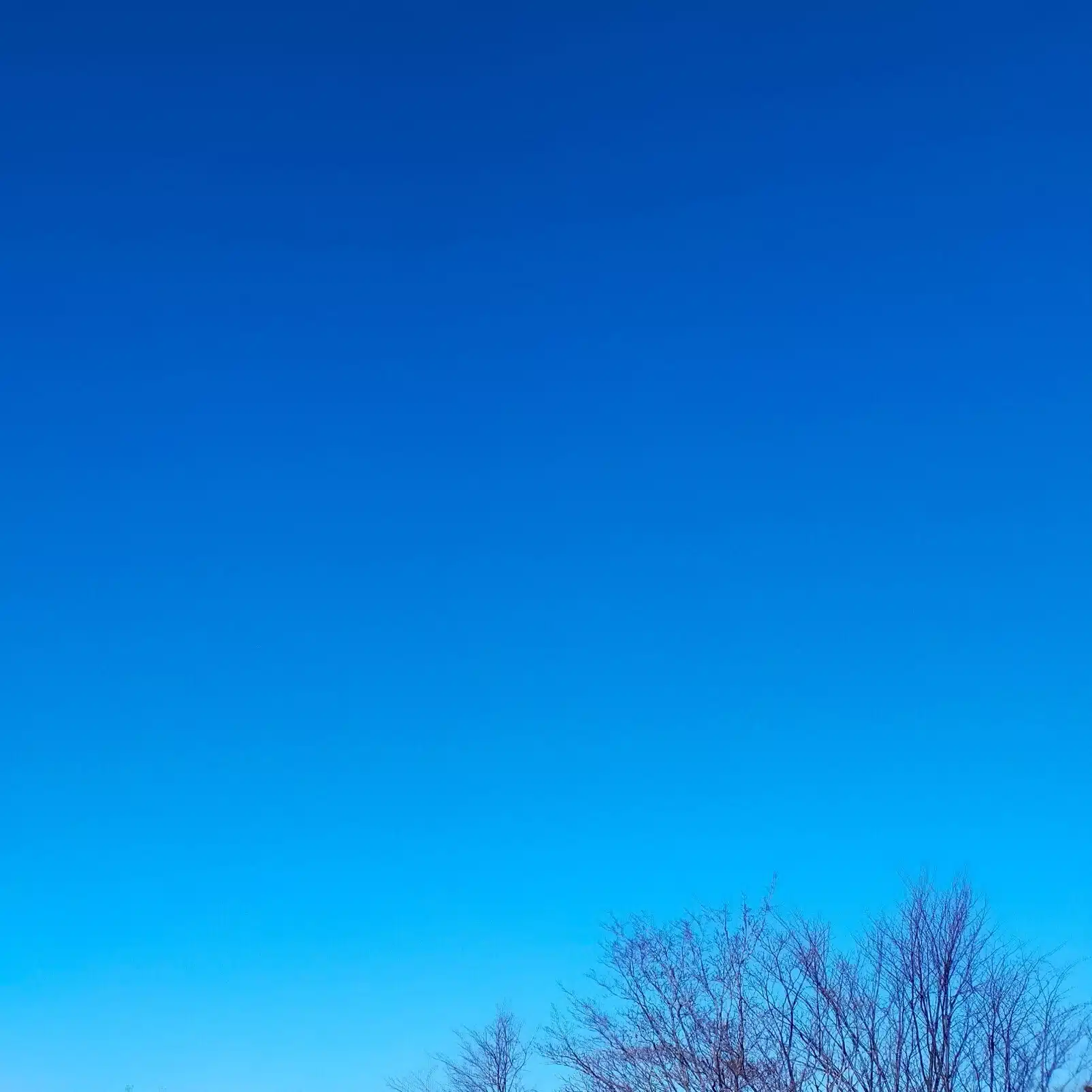ひらみ / ぽむ