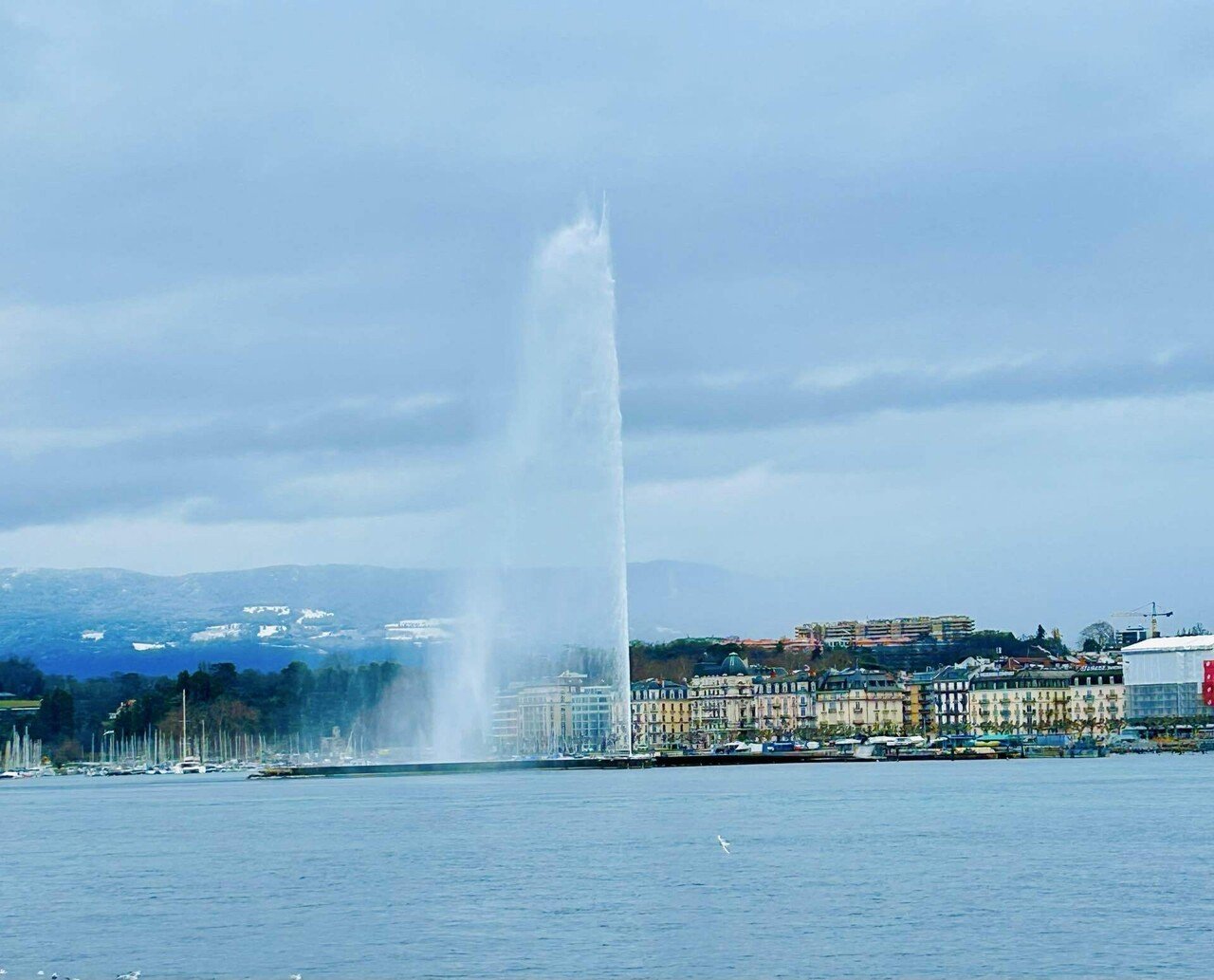 ヨーロッパ周遊記】スイス🇨🇭編：鉄道で越える国境 ジュネーブの